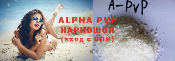 твердый Ладушкин