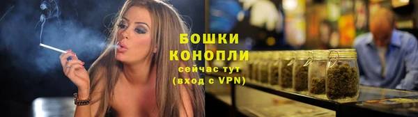 твердый Ладушкин