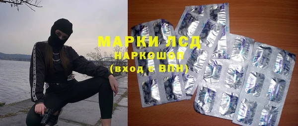 твердый Ладушкин