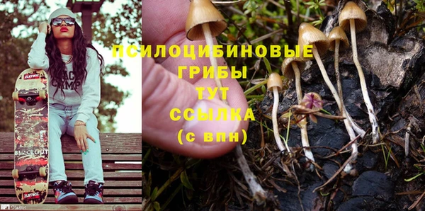шишки Абинск