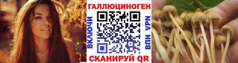 сколько стоит Новое Девяткино Галлюциногенные грибы GOLDEN TEACHER
