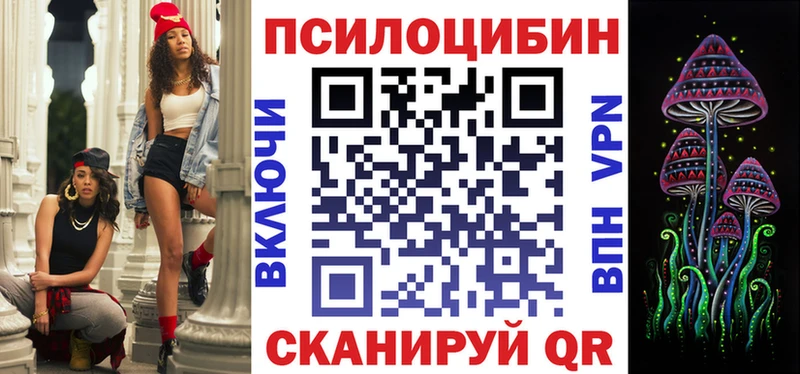 Псилоцибиновые грибы Psilocybine cubensis Новое Девяткино